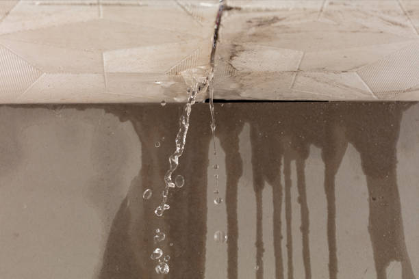 Professional Structural Drying technician working in Vernon, AL
